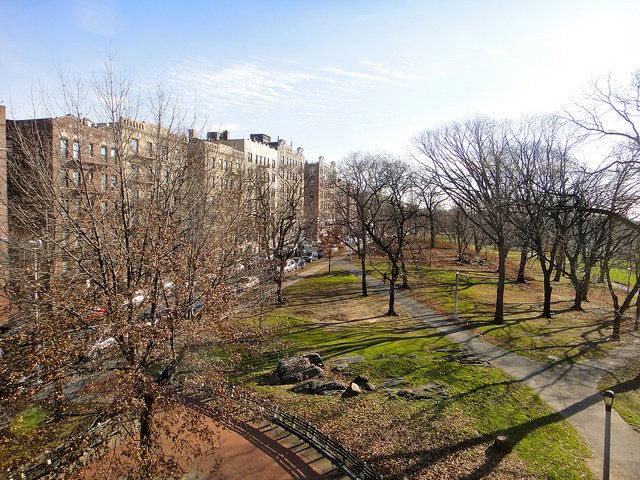 A NYCHA housing complex in the Bronx.