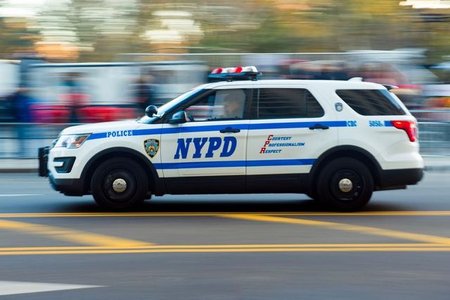 nypd081318.jpeg