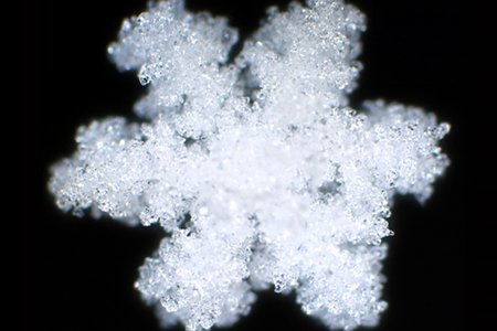 rimed_snowflake.jpg