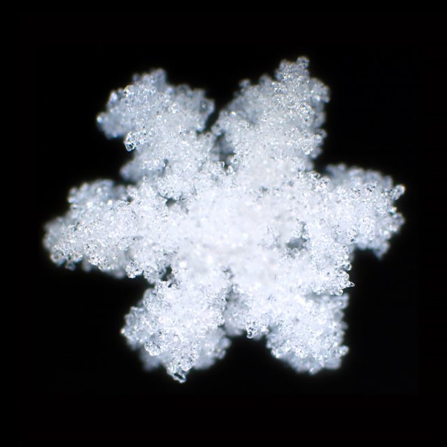 rimed_snowflake.jpg