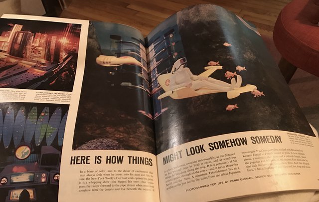 The LIFE issue documenting the Fair doesn't even mention the home.